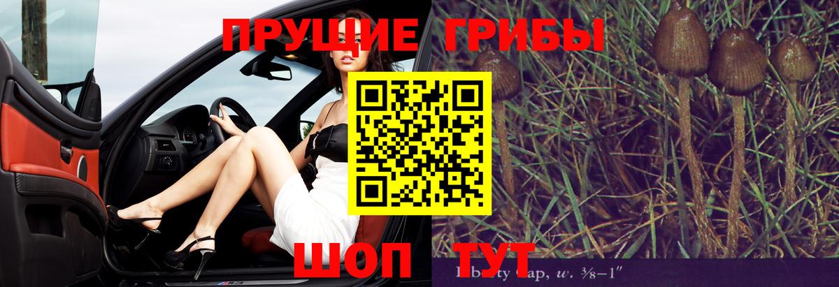 Псилоцибиновые грибы мухоморы Нижневартовск