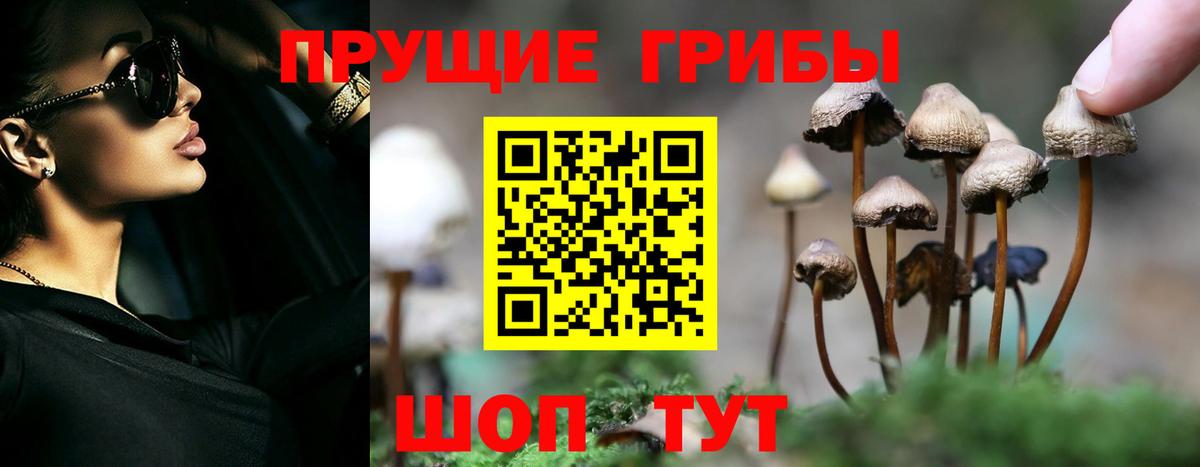 Нижневартовск  Псилоцибиновые грибы MAGIC MUSHROOMS  Вход с VPN 